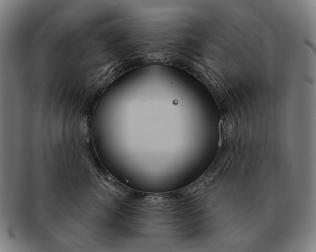 X0000091330764200708311436