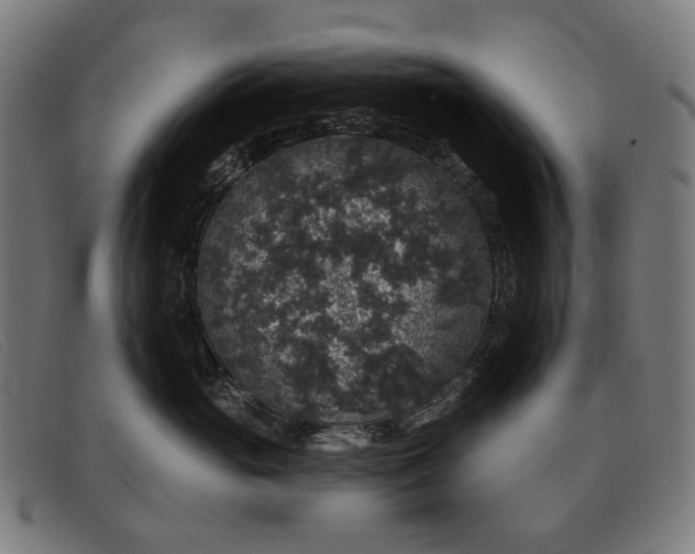 X0000091330765200708311436