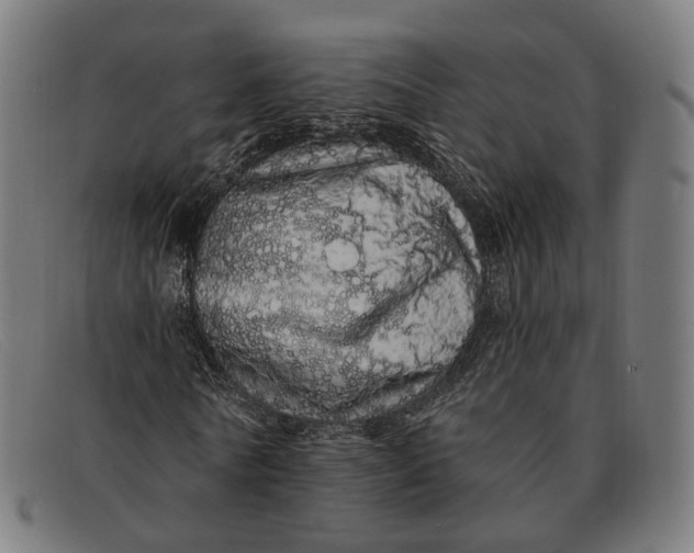 X0000091330770200708311436