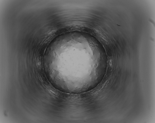 X0000091330771200708311436