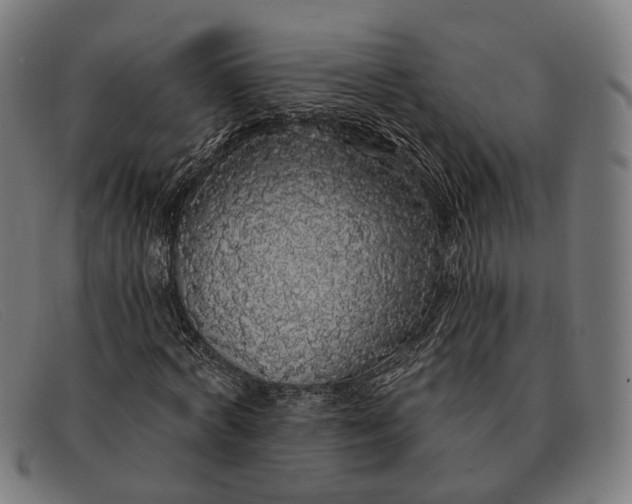 X0000091330772200708311436