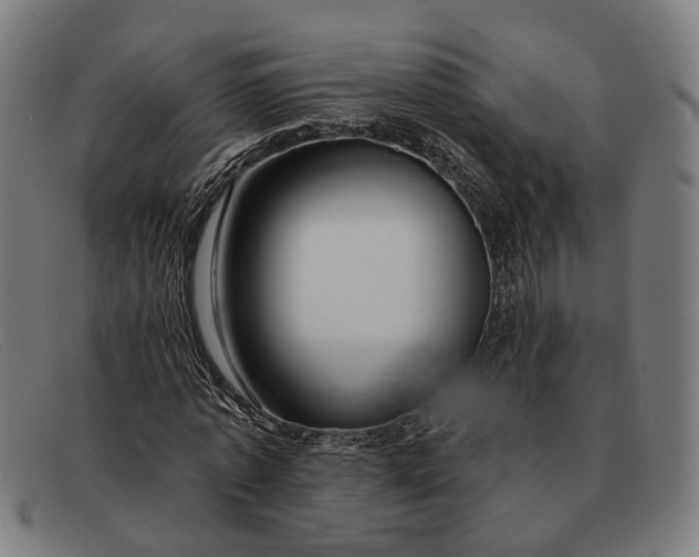 X0000091330773200708311436