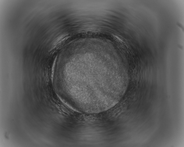 X0000091330774200708311436