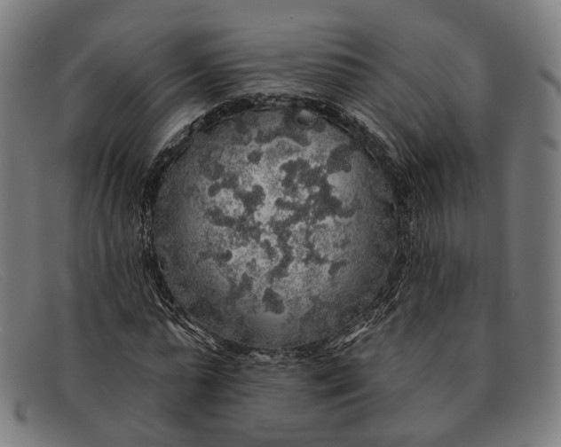 X0000091330775200708311436