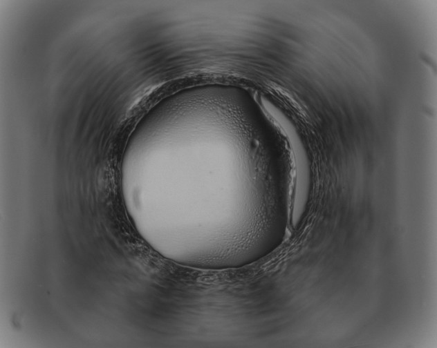 X0000091330776200708311436