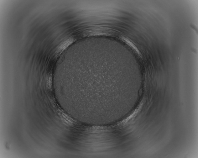 X0000091330777200708311436