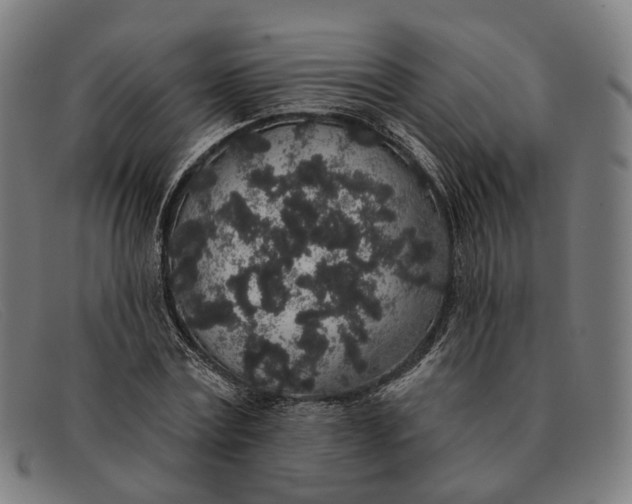 X0000091330779200708311436