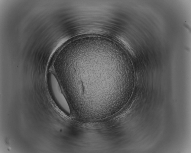 X0000091330780200708311436