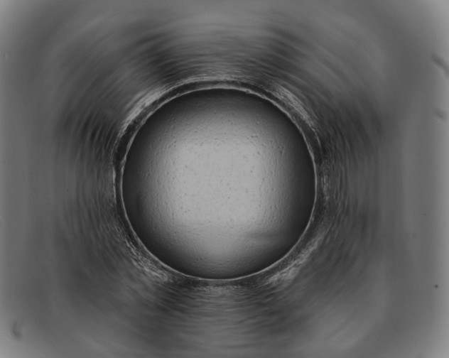 X0000091330781200708311436