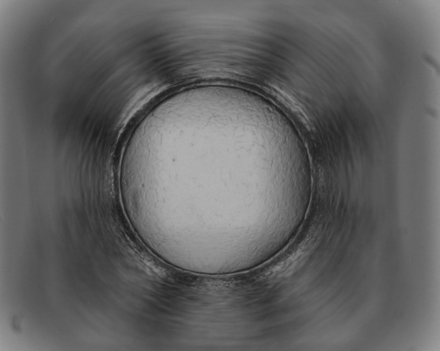 X0000091330782200708311436