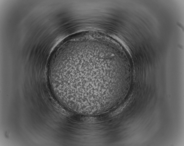 X0000091330783200708311436