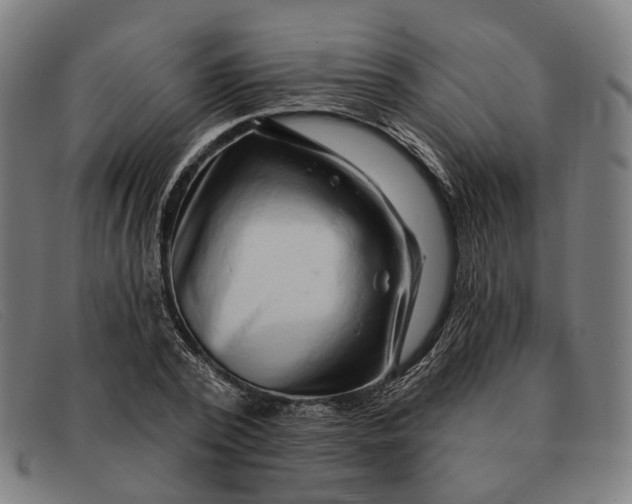 X0000091330784200708311436