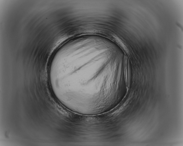 X0000091330787200708311435