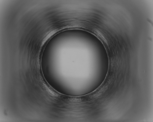X0000091330789200708311435