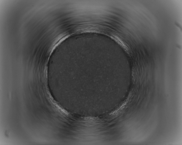 X0000091330790200708311435