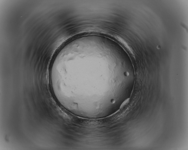 X0000091330791200708311435