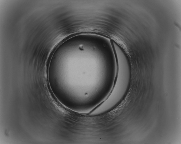 X0000091330792200708311435