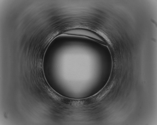 X0000091330793200708311435