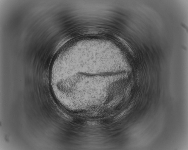 X0000091330794200708311435