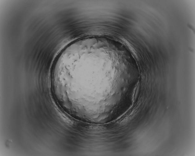 X0000091330795200708311435
