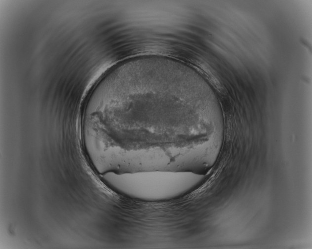 X0000091330796200708311435