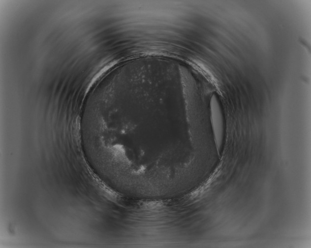 X0000091330798200708311435