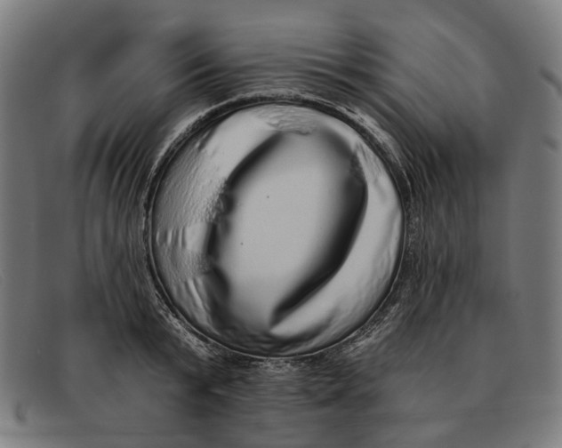X0000091330799200708311435