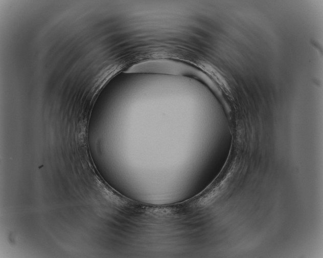 X0000091330801200708311435