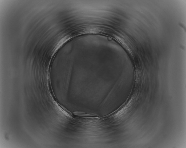 X0000091330802200708311435