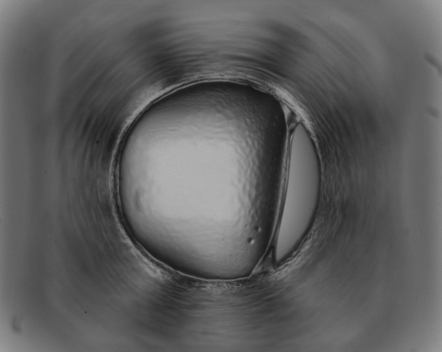 X0000091330803200708311435