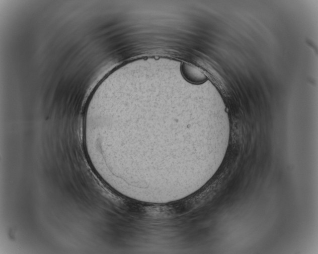 X0000091330804200708311435