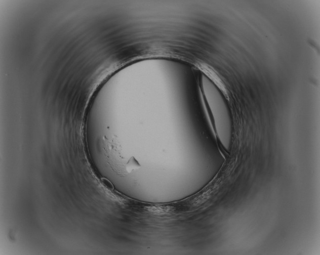X0000091330805200708311435