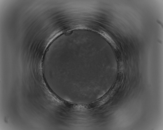 X0000091330806200708311435