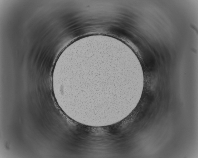 X0000091330807200708311435