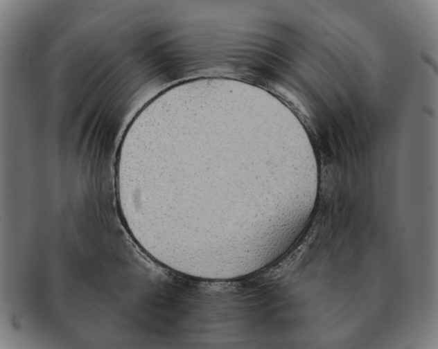 X0000091330808200708311435