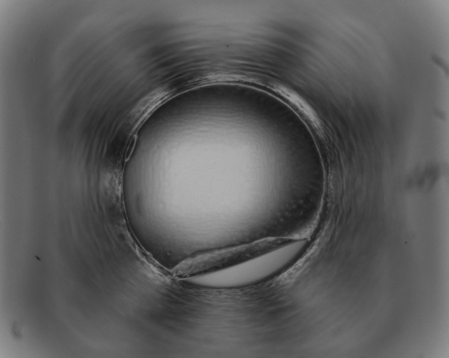X0000091330809200708311435