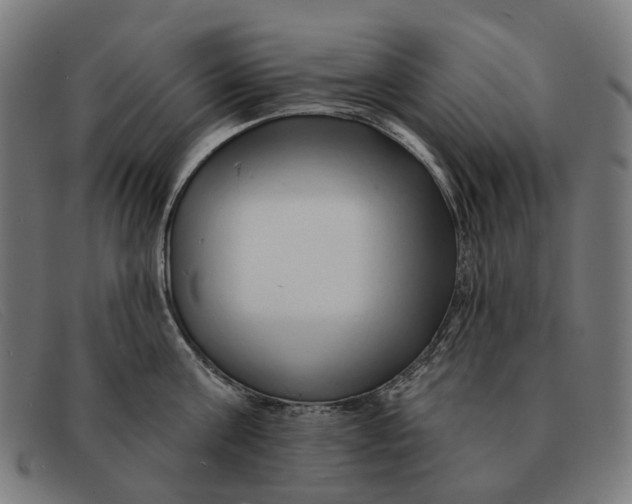 X0000091330811200708311435