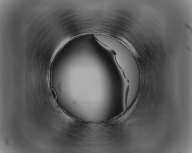 X0000091330812200708311435