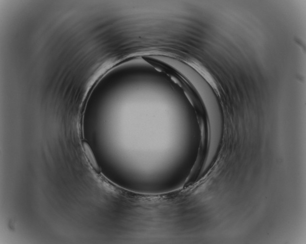 X0000091330813200708311435