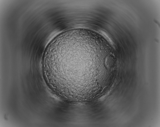 X0000091330814200708311435