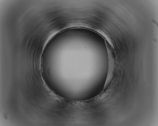 X0000091330815200708311435
