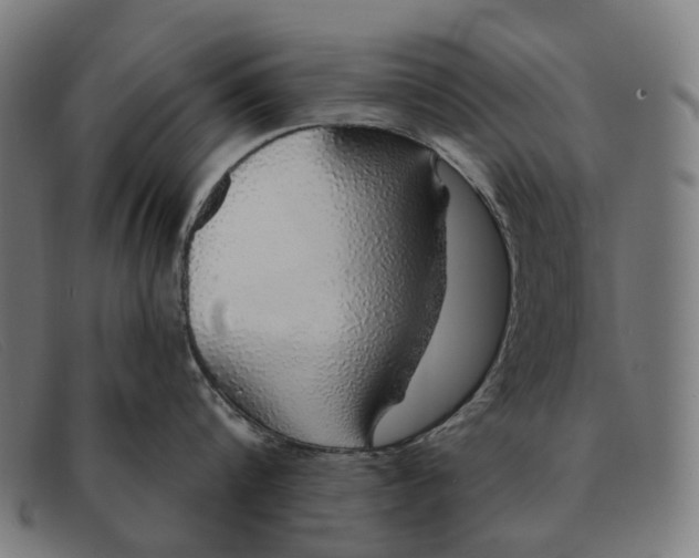 X0000091330816200708311435