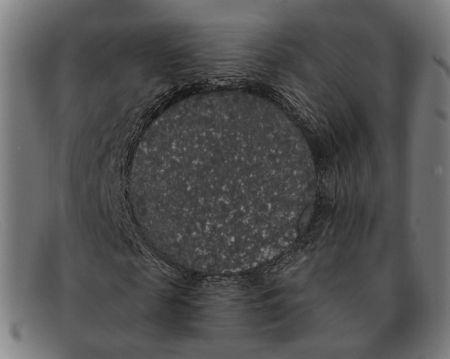 X0000091330817200708311434