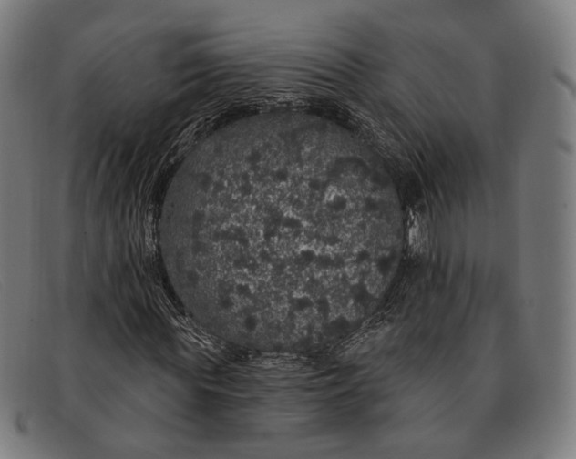 X0000091330819200708311434