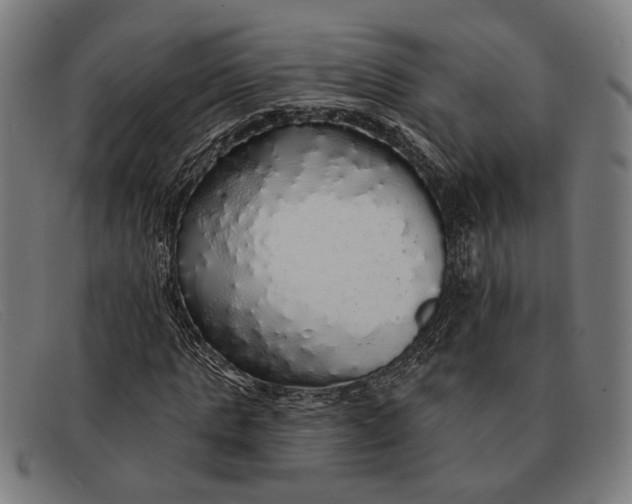 X0000091330821200708311435