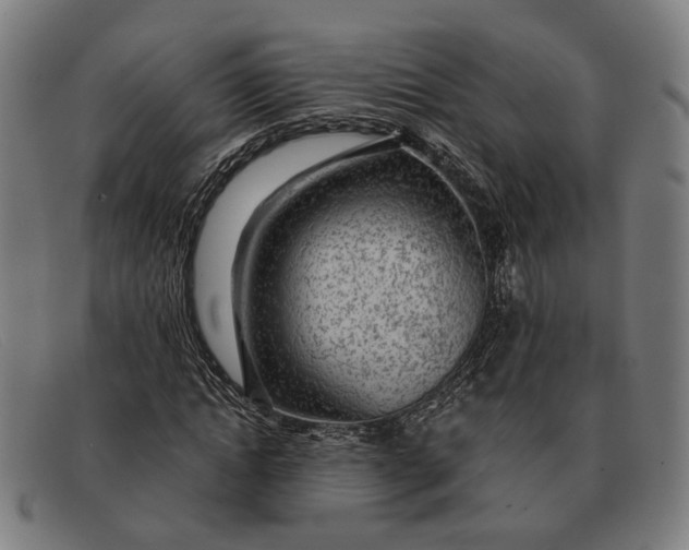 X0000091330822200708311435