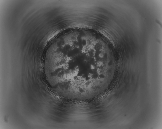 X0000091330823200708311435