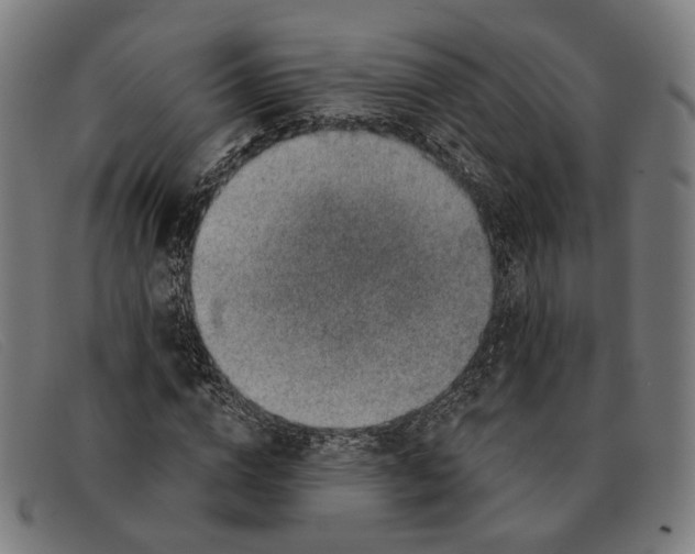 X0000091330824200708311435