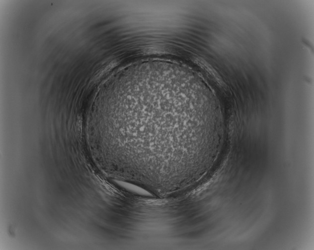 X0000091330825200708311435