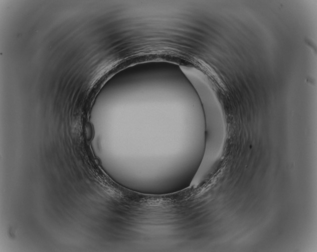 X0000091330826200708311435